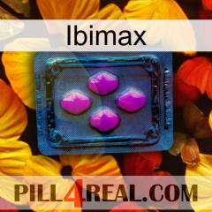 Ibimax 04